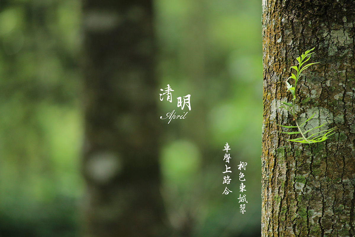创达2025年清明节放假通知